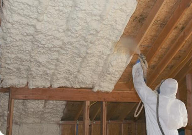 BASICS OF BUILDING: INSULATION